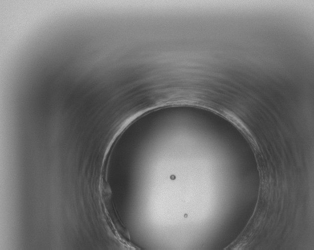 X0000059830956200510281754