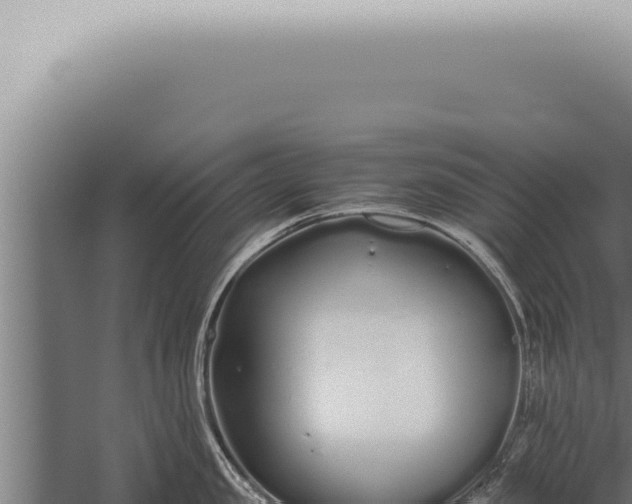 X0000059830957200510281754