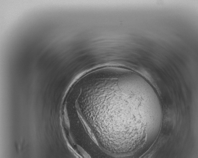 X0000059830958200510281754