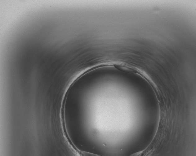 X0000059830959200510281754