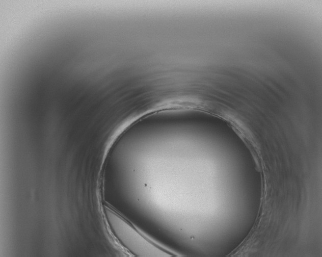 X0000059830960200510281754