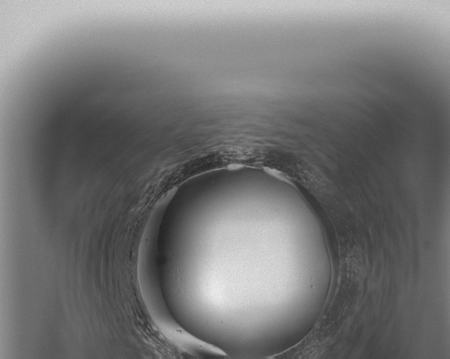 X0000059830961200510281753