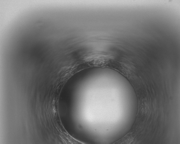 X0000059830962200510281753