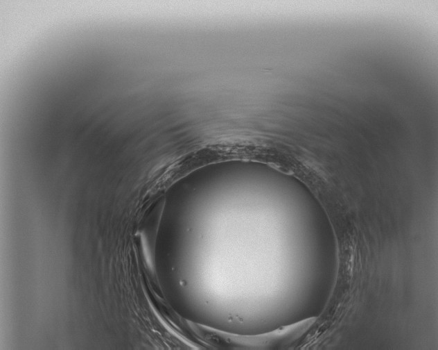 X0000059830965200510281753