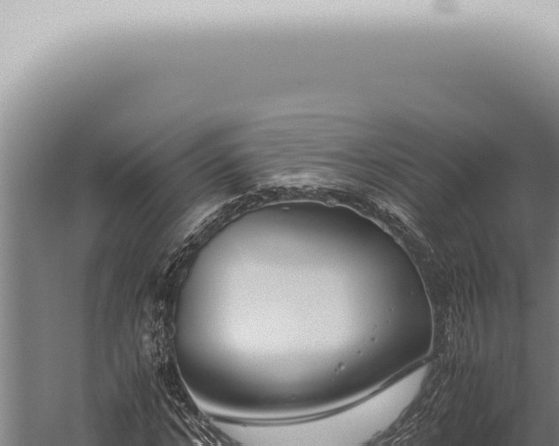 X0000059830968200510281753