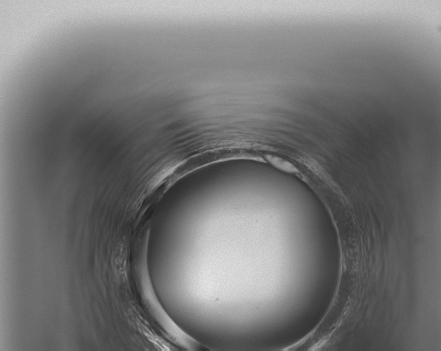 X0000059830969200510281753