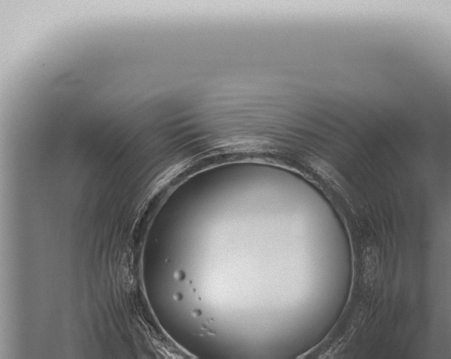 X0000059830970200510281753