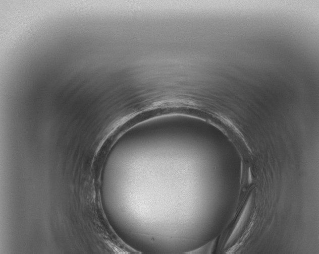 X0000059830973200510281753