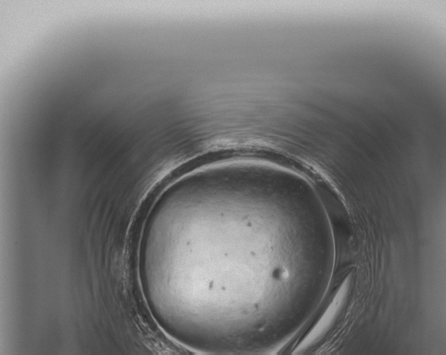 X0000059830975200510281753