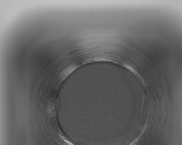 X0000059830977200510281753