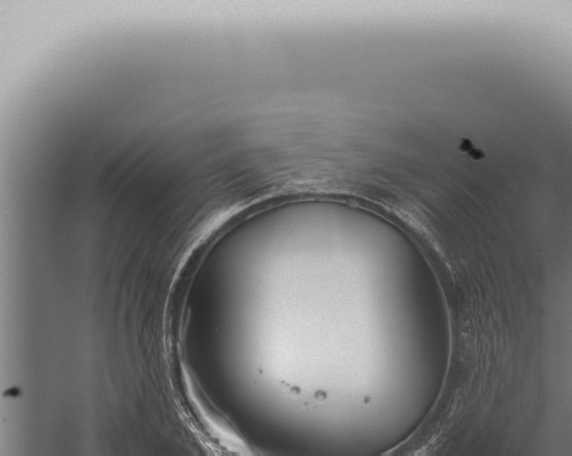 X0000059830981200510281753