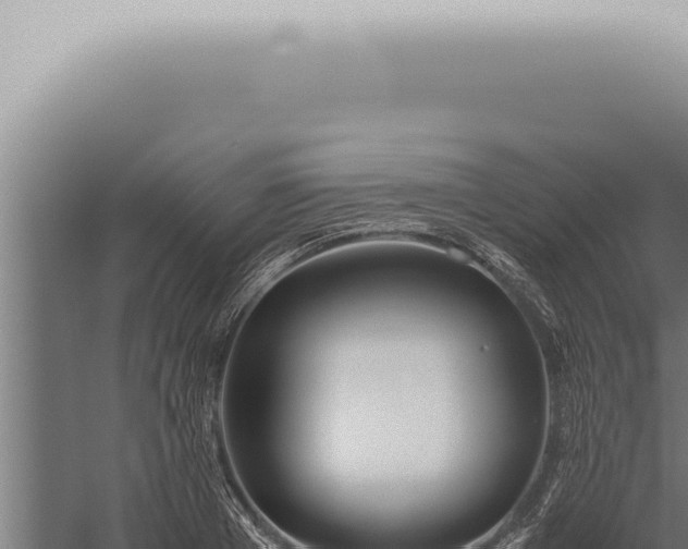 X0000059830985200510281753