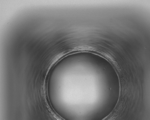 X0000059830990200510281753