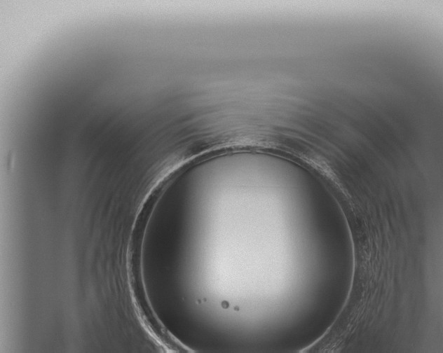 X0000059830991200510281753