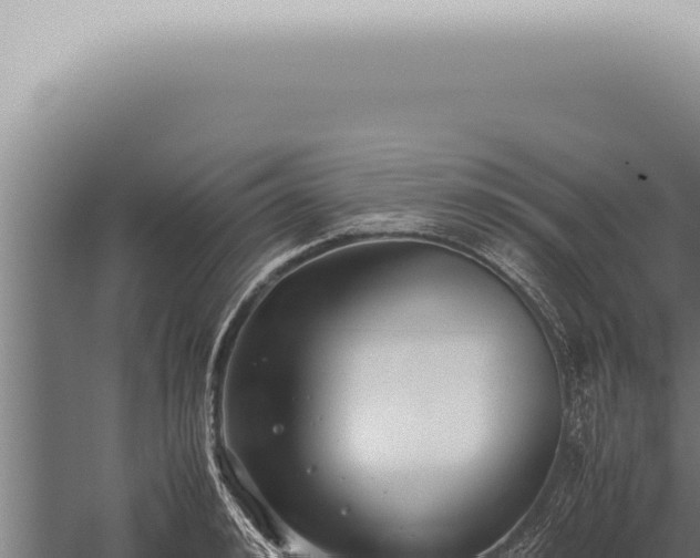 X0000059830992200510281753