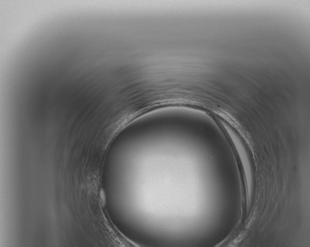 X0000059830993200510281753