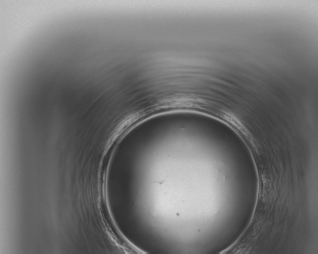 X0000059830994200510281753