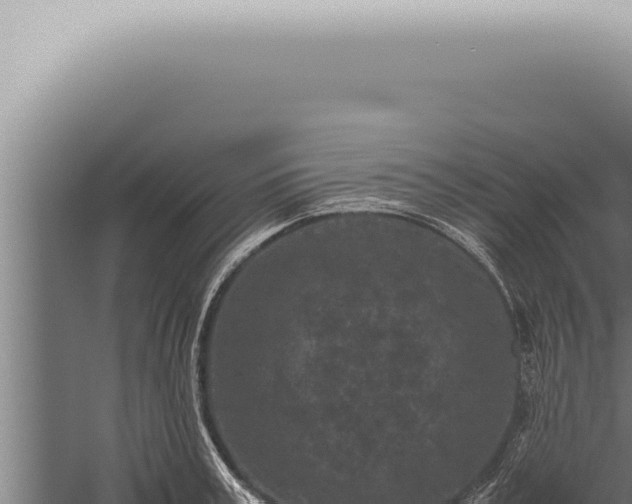 X0000059830995200510281753