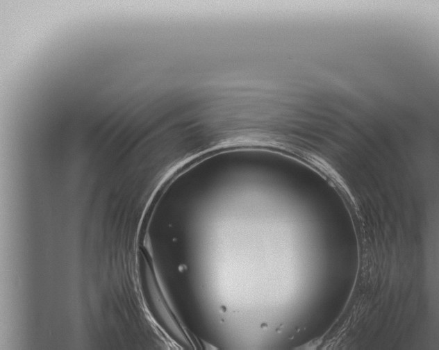 X0000059830996200510281753