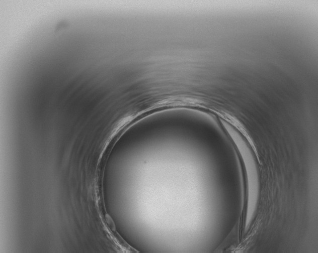 X0000059830997200510281753