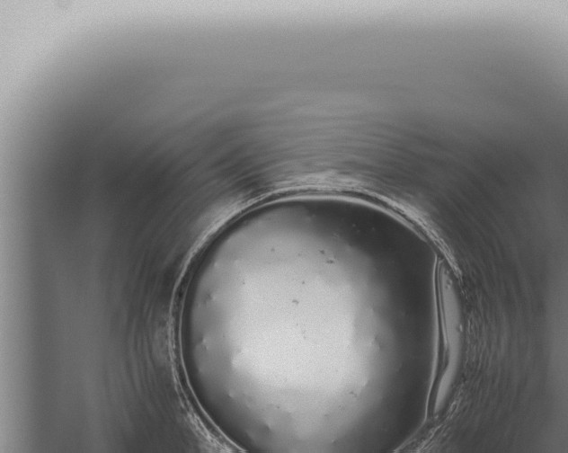 X0000059830998200510281753