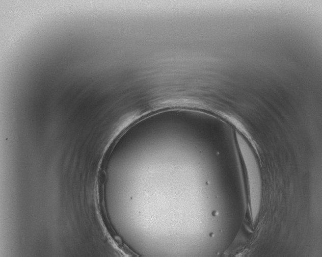 X0000059830999200510281753