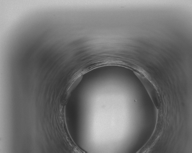 X0000059831001200510281753