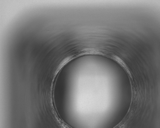 X0000059831002200510281753