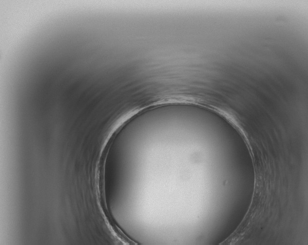 X0000059831003200510281753