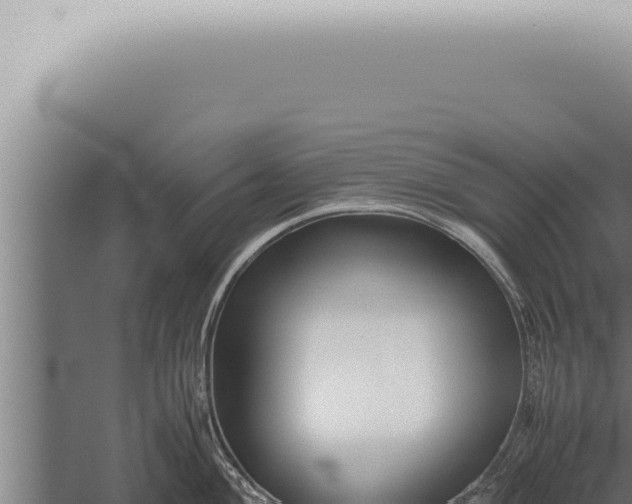 X0000059831004200510281753