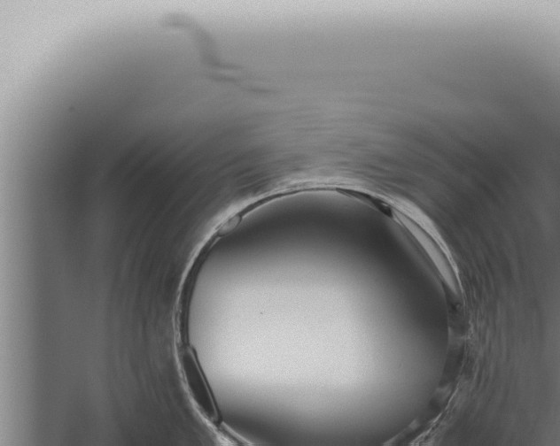 X0000059831005200510281753