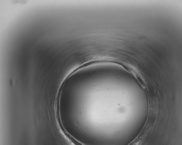 X0000059831007200510281753