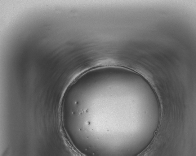 X0000059831008200510281753