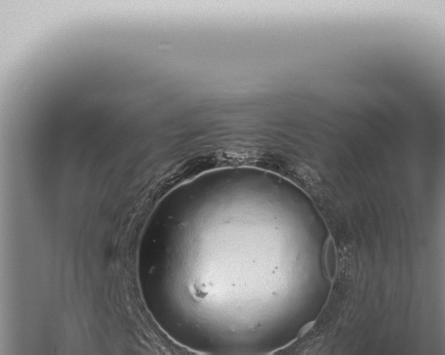 X0000059831009200510281752