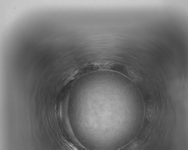 X0000059831010200510281752