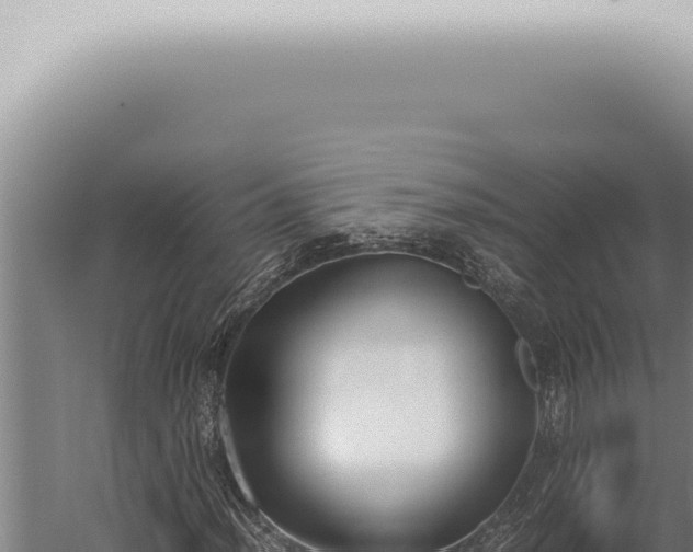 X0000059831012200510281752