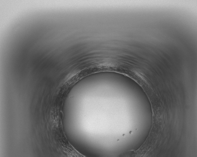 X0000059831015200510281752