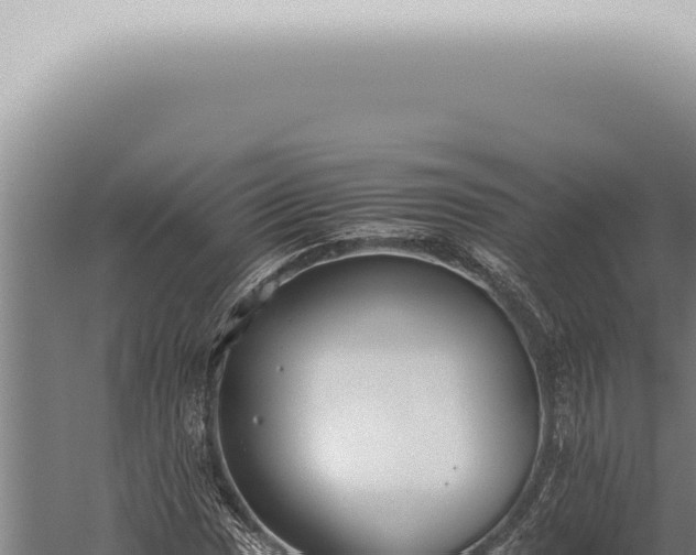 X0000059831017200510281752