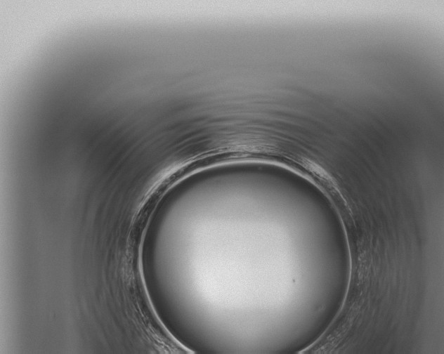 X0000059831019200510281752