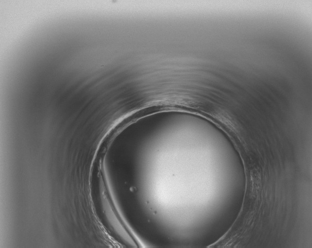 X0000059831020200510281752