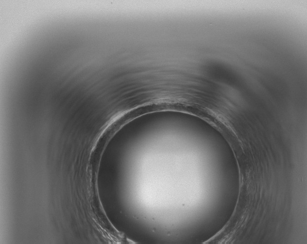 X0000059831021200510281752