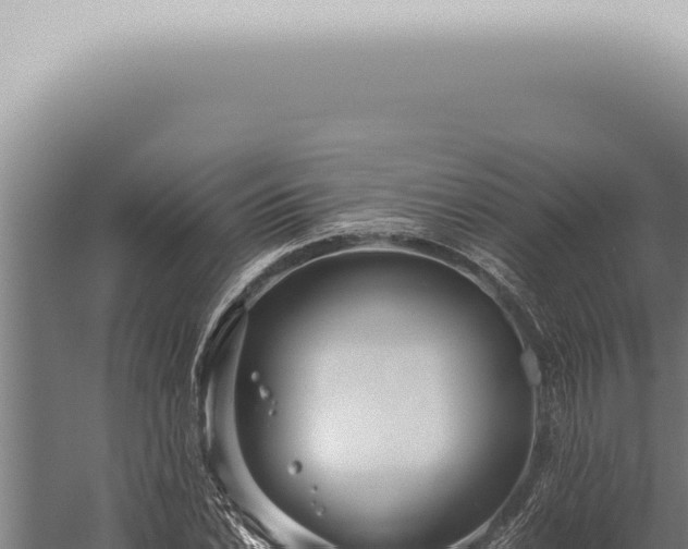 X0000059831022200510281752