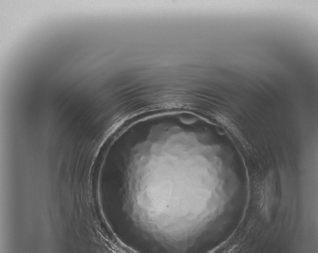 X0000059831023200510281752