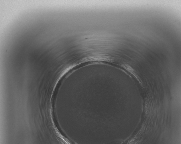 X0000059831024200510281752