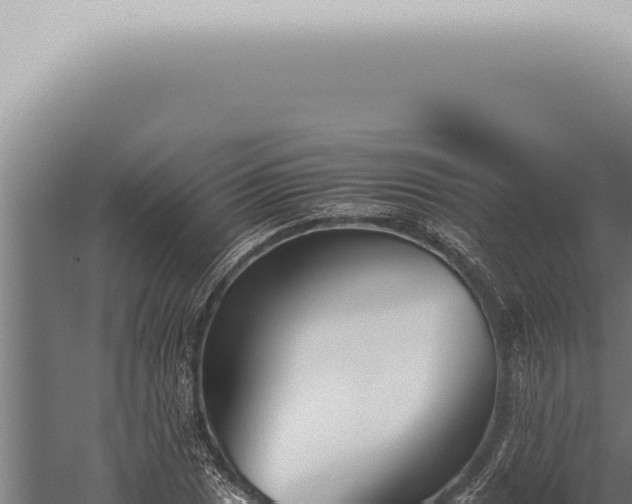 X0000059831025200510281752