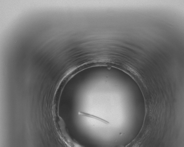 X0000059831029200510281752