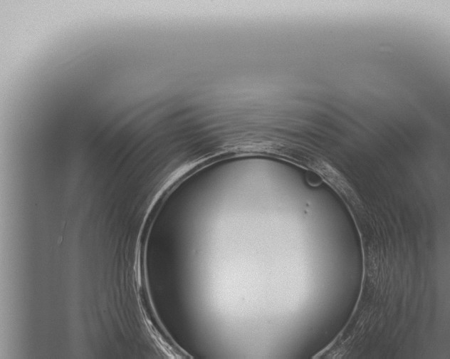 X0000059831036200510281752