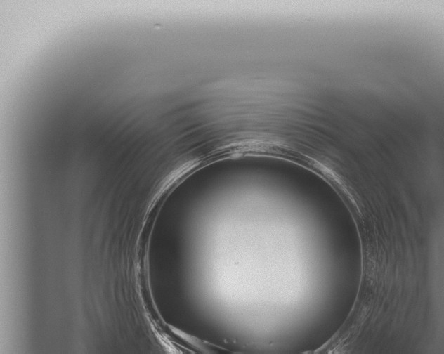 X0000059831042200510281752