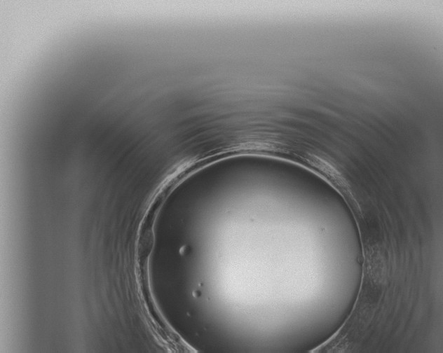 X0000059831043200510281752