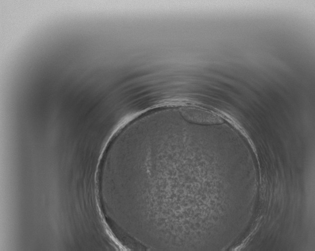 X0000059831045200510281752